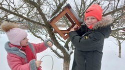  Новооскольские юннаты оборудовали сеть «птичьих столовых» для зимней подкормки пернатых