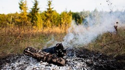 Власти продлили особый противопожарный режим в Белгородской области до 4 октября 2023 года
