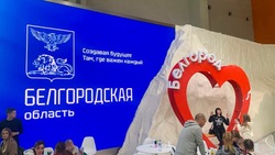 Неделя Министерства здравоохранения Белгородской области пройдёт на выставке-форуме «Россия»