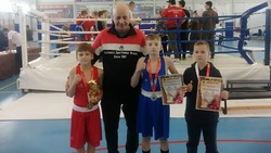 Новооскольцы поучаствовали во Всероссийском турнире по боксу 