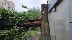 Вячеслав Гладков – о последствиях урагана в Белгородской области