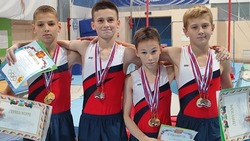 Новооскольцы завоевали 19 медалей на Первенстве Белгородской области по спортивной гимнастике