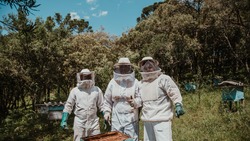 Новооскольские пчеловоды выиграли суд и получат компенсация от аграриев за мор насекомых