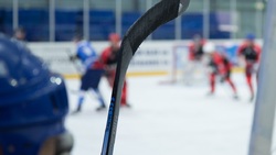 Новооскольские хоккеисты стали обладателями Кубка главы администрации Чернянского района