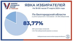 83,77 % избирателей Белгородской области приняли  участие в выборах Президента РФ