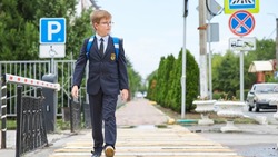 Новооскольские власти отчитались о приведении восьми пешеходных переходов у школ к нацстандартам