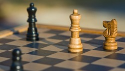 Новооскольские шахматисты станут членами белгородского клуба «Мыслитель»