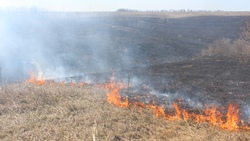 Сотрудники МЧС призвали новооскольцев не сжигать траву на участках