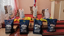 Новооскольские единороссы организовали благотворительную акцию «Добрые санки»