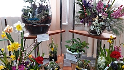 Новооскольские юные цветоводы заняли III место на областной выставке выгоночных растений