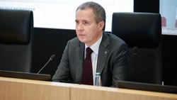 Вячеслав Гладков: «В Белгородской области заготовлен 84% дров для частных домов на случай отключений
