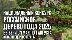 Материал