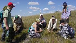 Ботаники МГУ приступили к изучению растительного мира Белгородской области