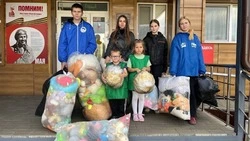 В Новооскольском округе подвели итоги уникальной акции «ЧИСТО СВОИ. ИГРУШКИ»