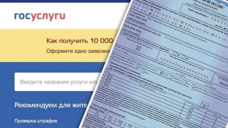 Более 200 жителей Белгородской области оформили компенсацию по ОСАГО онлайн с начала 2025 года