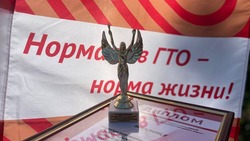 Фестиваль ГТО собрал активных жителей села Оскольское