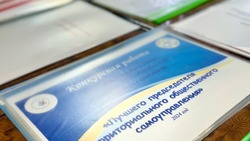 Муниципальная комиссия определит лучшие ТОСы Новооскольского округа