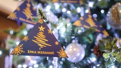 Вячеслав Гладков  – об организации дополнительной «Ёлки желаний» для детей участников СВО