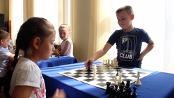 Шахматный фестиваль стартовал в Новом Осколе