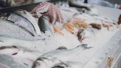 Роспотребнадзор организовал горячую линию по вопросам мясной и рыбной продукции