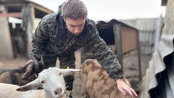 Житель Новооскольского округа воспользовался средствами соцконтракта для развития своего дела