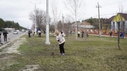 Более 430 новооскольцев вышли на уборку города в рамках месячника добровольного служения