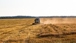 Новооскольские сельхозпроизводители смогут взять технику в лизинг на льготных условиях
