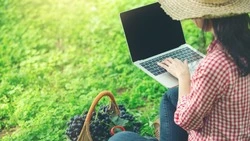 Жители белгородских сёл смогут повлиять на появление домашнего интернета в своих населённых пунктах