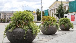 Белгородские НКО смогут принять участие во всероссийском конкурсе поддержки гражданских инициатив