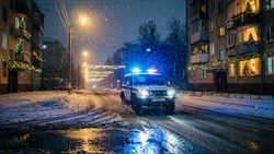 Полиция Новооскольского округа напомнила жителям о правилах безопасности в праздники