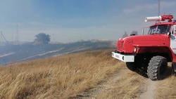 Ландшафтный пожар произошёл в районе автодороги «Новый Оскол – Старая Безгинка»