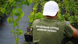 Более 1000 подростков Новооскольского округа получат работу на летних каникулах 2025 года