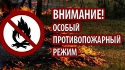 Ограничения пожароопасного периода продолжат действовать на территории Белгородской области