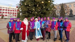 Новогодняя тренировка клуба «Пульс» собрала новооскольских любителей северной ходьбы
