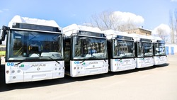 Федеральные власти выделили 600 млн рублей Белгородской области на покупку автобусов