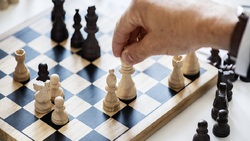 Первенство по шахматам на кубок ММПС «Правда» прошёл в Белгородской области