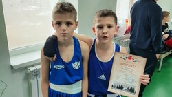 Юные новооскольцы победили на соревнованиях по боксу