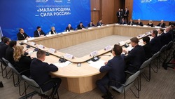 Владимир Путин поддержал инициативы Белгородской области по защите добровольцев и госслужащих