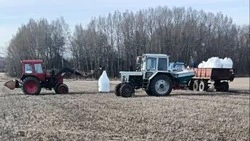 Аграрии Новооскольского городского округа приступили к весенне – полевым работам