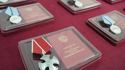 Росгвардейцы Белгородской области получили государственные награды за выполнение задач в зоне КТО