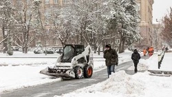 Вячеслав Гладков – о возможности жителей наблюдать за работой снегоуборочной техники в спецсервисе