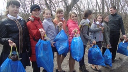 Экологическая акция «День леса» завершилась в Новооскольском городском округе