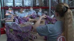 Белгородские медики получили 27 тысяч продуктовых наборов от местных производителей
