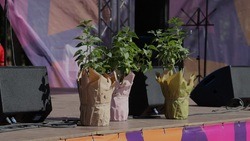 Вячеслав Гладков открыл ежегодный фестиваль «Белгород в цвету»