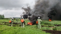 В Новооскольском округе прошли учения по тушению ландшафтных пожаров с участием МЧС и добровольцев