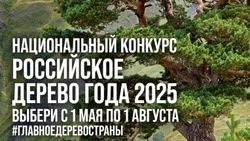 Дуб из Белгородской области поборется за звание «Российское дерево года»