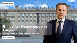 Вячеслав Гладков отчитается перед депутатами областной Думы о работе правительства