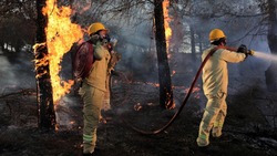 Власти продлили особый противопожарный режим в Белгородской области до 23 августа 2023 года