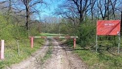 Лесных пожаров не было на территории Белгородской области в 2025 году