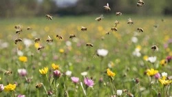 Белгородские аграрии уведомили население о проведении обработки пестицидами с 26 апреля по 6 мая